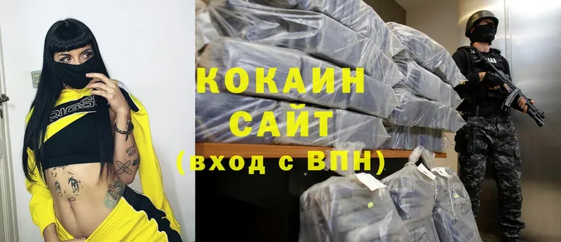 Cocaine FishScale  Заводоуковск 