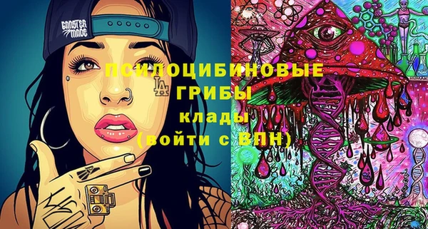 соль ск Новодвинск
