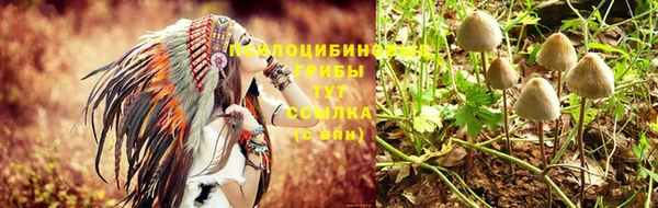 прущая мука Нефтегорск