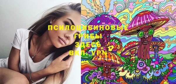 мдма Новозыбков