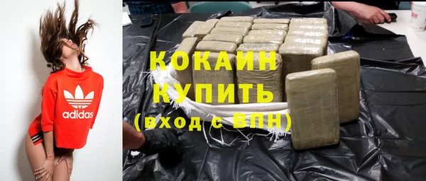 соль ск Новодвинск