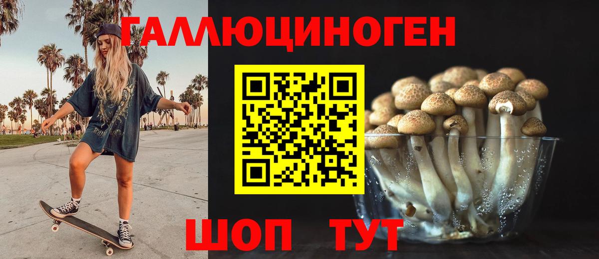 Заводоуковск  Галлюциногенные грибы прущие грибы  Вход с VPN  Псилоцибиновые грибы ЛСД 